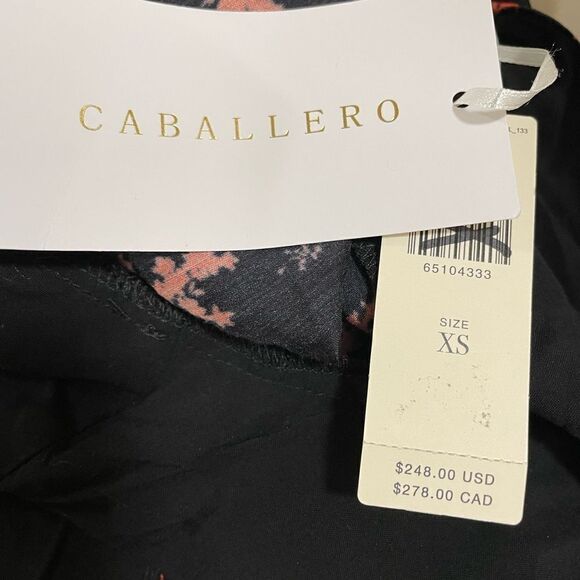 New Anthropologie Caballero Abstract Wrap Midi Dress
Retail $248
Plus XS - Picture 9 of 11